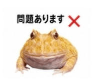 882884504