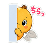 882886816