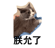 882890380