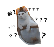 882892405