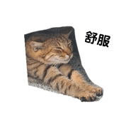882892406