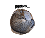 882892408