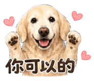 882893339