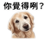 882893365