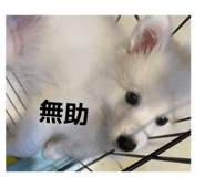 882894392