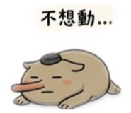 882896956