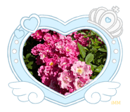 882904345