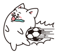 8829240