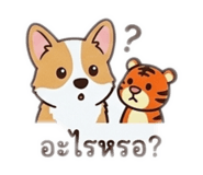 882942412