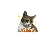 882957182
