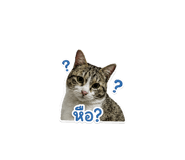 882957183