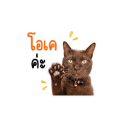 882958313