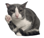 882990929