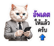 882993123