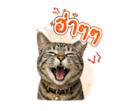 882994571