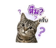 882994584