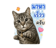 882994591