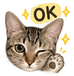 883000619