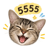 883000623