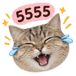 883000624