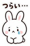 883005440