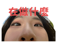 883017497