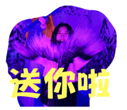 883017506