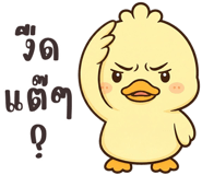 883035539