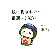 883063955