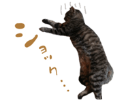 883067956