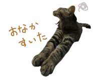 883067958