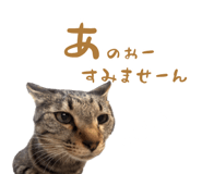 883067962