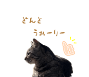 883067964