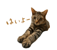 883067967