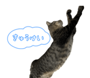 883067974