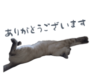 883068103