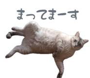 883068110