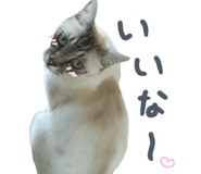 883068116