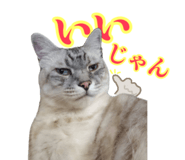 883068121