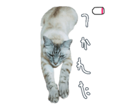 883068124