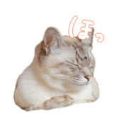 883068125