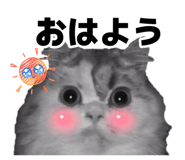 883092146