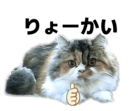883092148