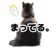 883092154