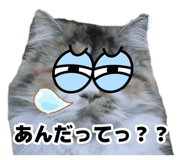 883092165