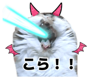 883092166
