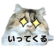 883092171