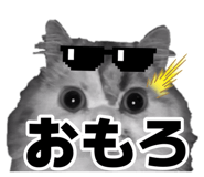 883092173