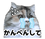 883092176