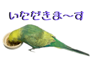 883097979